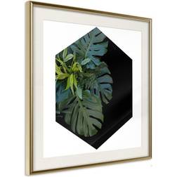 Arkiio Affisch Plant Hexagon (Square) [Poster] 30x30 Poster